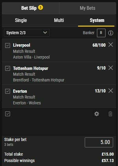 bwin Bet Slip Screenshot